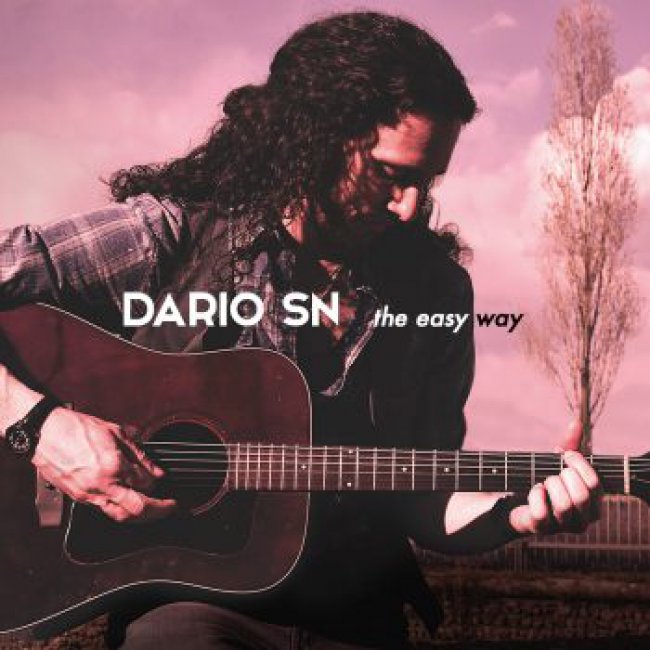 Risultati immagini per dario sn