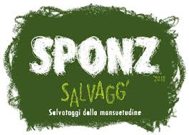 sponz fest 2018 